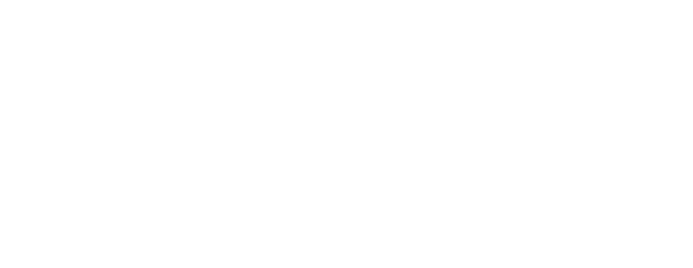 RSS Riool Service